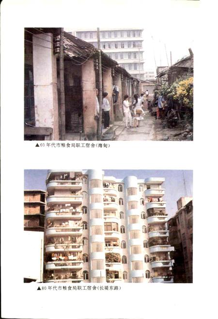 《海口市粮食志》.pdf电子版_海南省志插图3