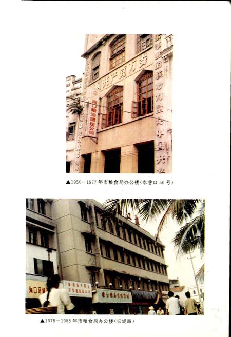 《海口市粮食志》.pdf电子版_海南省志插图4