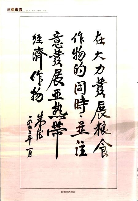 《三亚市志》.pdf电子版_海南省志插图5