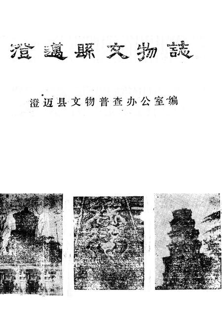 《澄迈县文物志》.pdf电子版_海南省志插图