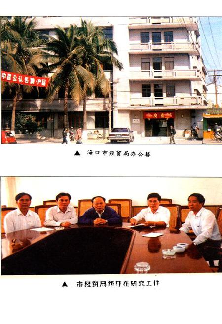 《海口市经贸志》.pdf电子版_海南省志插图2