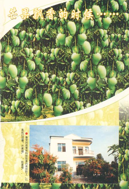 《海南省国营南田农场场志(1952-2002)》.pdf电子版_海南省志插图4