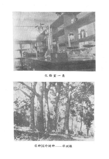 《海南林科所志》.pdf电子版_海南省志插图5