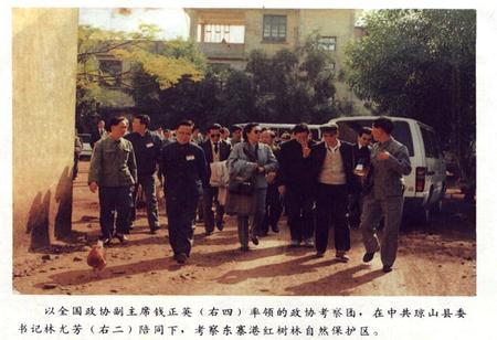 《琼山县林业志》.pdf电子版_海南省志插图5