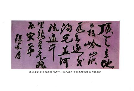 《新星场志》.pdf电子版_海南省志插图5