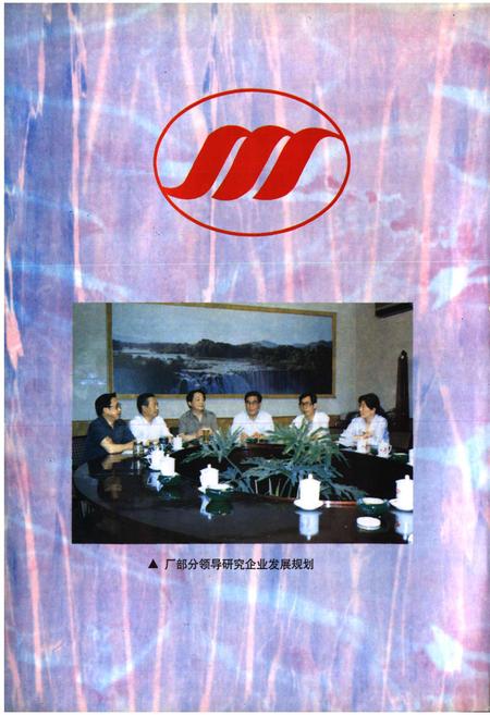 《石家庄棉三厂志》.pdf电子版_河北省志插图5