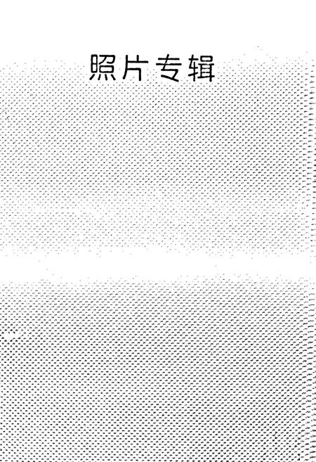 《耀华玻璃厂志》.pdf电子版_河北省志插图4