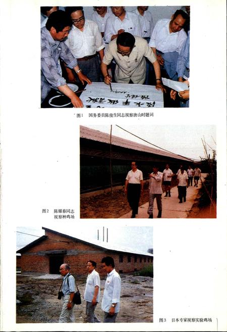 《唐山市畜牧志》.pdf电子版_河北省志插图3 《唐山市畜牧志》.pdf电子版_河北省志插图3