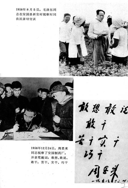 《祁州中药志》.pdf电子版_河北省志插图4