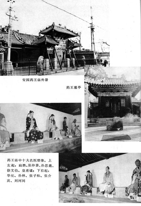 《祁州中药志》.pdf电子版_河北省志插图5