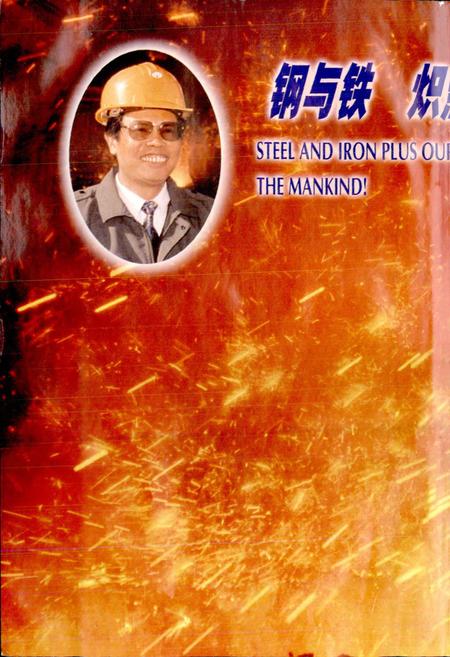 《军钢志续集 新兴铸管志》.pdf电子版_河北省志插图2 《军钢志续集 新兴铸管志》.pdf电子版_河北省志插图2