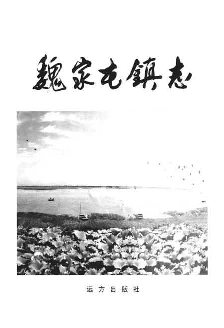 《魏家屯镇志》.pdf电子版_河北省志插图1