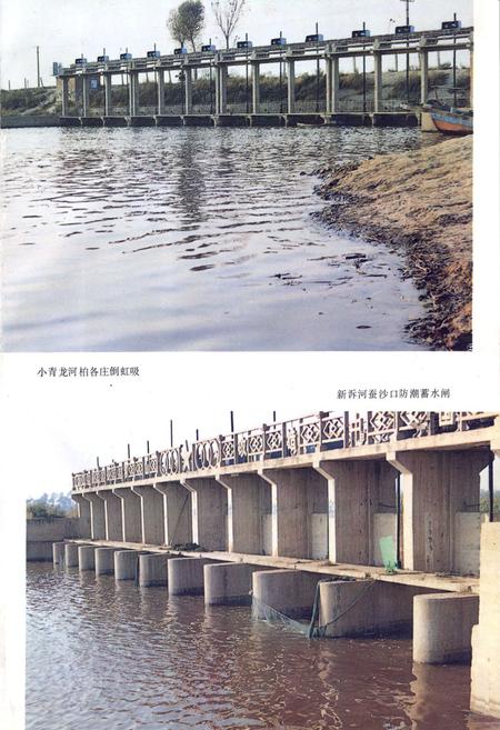 《滦南县水利志》.pdf电子版_河北省志插图3 《滦南县水利志》.pdf电子版_河北省志插图3