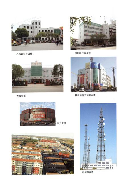 《大城县志(1989-2006)》.pdf电子版_河北省志预览图4