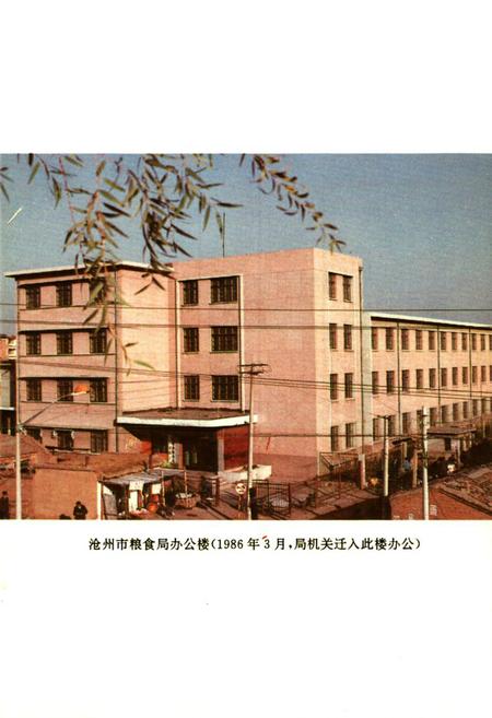 《沧州市粮食志》.pdf电子版_河北省志插图2