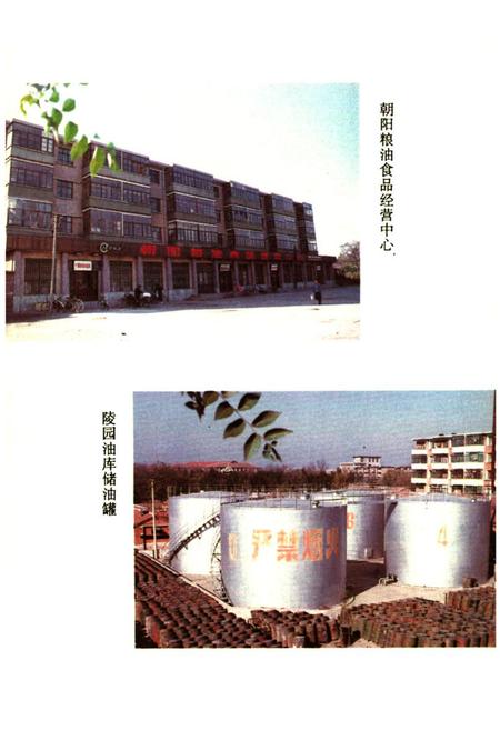 《沧州市粮食志》.pdf电子版_河北省志插图5