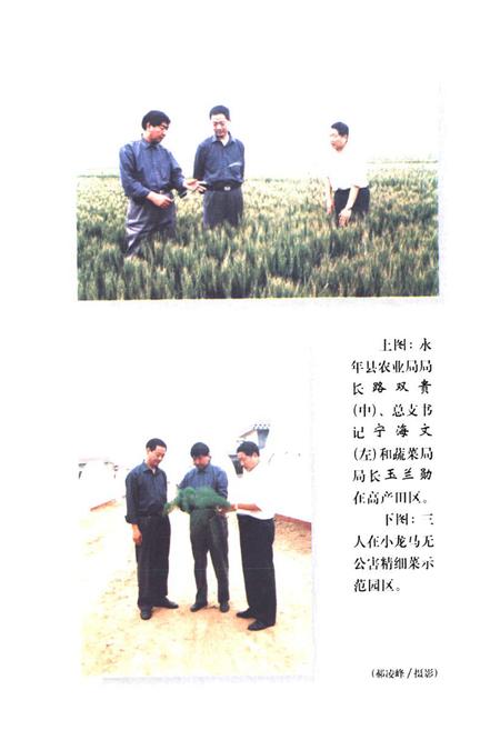 《永年百年大事志(1901-2000)》.pdf电子版_河北省志插图3 《永年百年大事志(1901-2000)》.pdf电子版_河北省志插图3