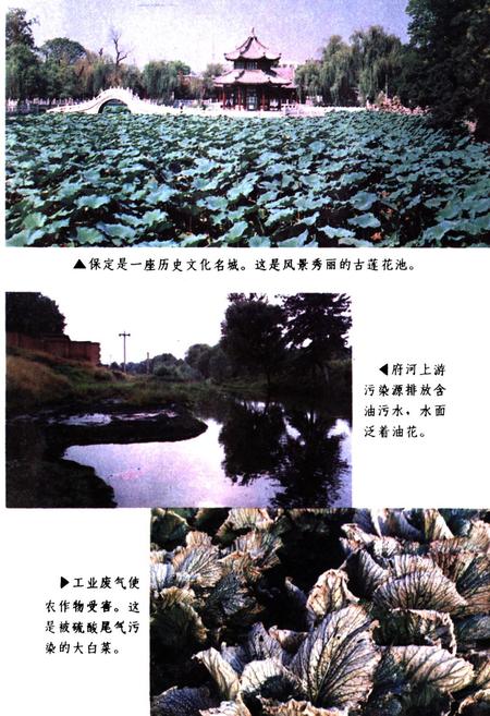 《《保定市环境保护志》》.pdf电子版_河北省志插图5