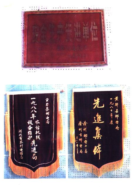 《黄骅邮电志》.pdf电子版_河北省志插图3