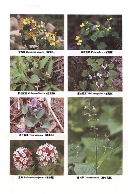 《小五台山植物志·下卷》.pdf电子版_河北省志插图4