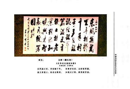 《《东阜村志》》.pdf电子版_河北省志插图2