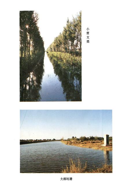 《《盐山县水利志》》.pdf电子版_河北省志插图5