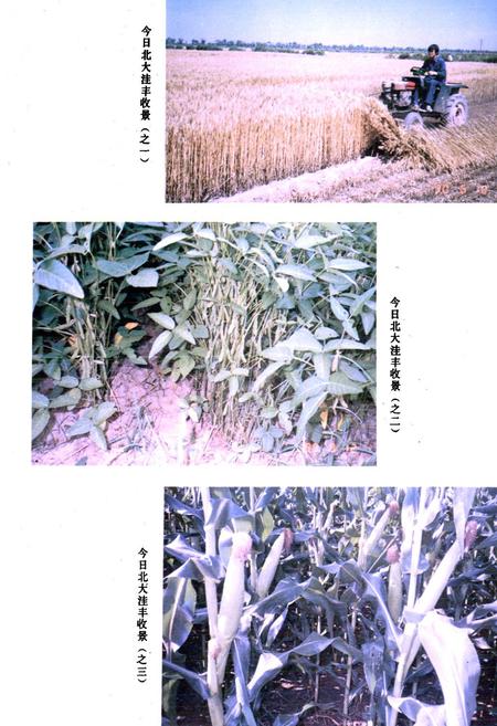 《大城县水利志》.pdf电子版_河北省志插图5