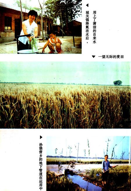 《鸡泽县水利志》.pdf电子版_河北省志插图5