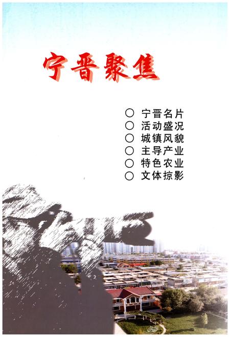 《宁晋县志(1979-2008)》.pdf电子版_河北省志插图3