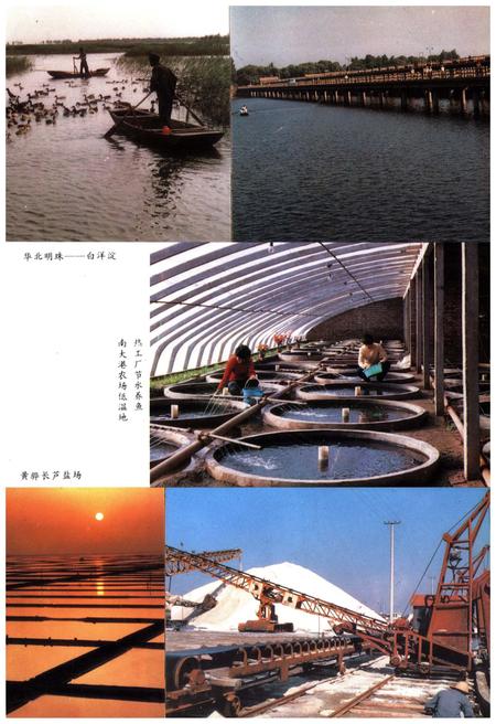 《沧州地区科学技术志》.pdf电子版_河北省志插图5 《沧州地区科学技术志》.pdf电子版_河北省志插图5