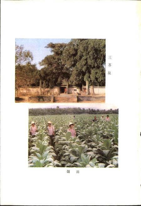 《河南省郏县地名志》.pdf电子版_河南省志插图5