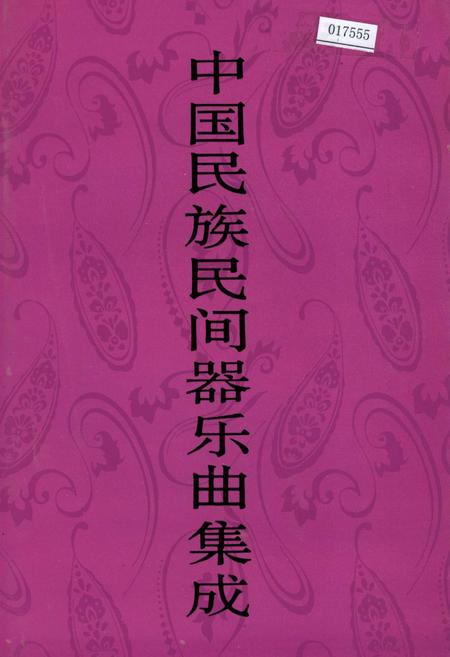 《中国民族民间器乐曲集成 河南卷（下册）》.pdf电子版_河南省志
