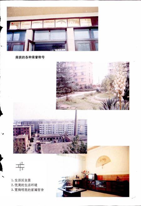 《郑州轻金属研究院志》.pdf电子版_河南省志插图5