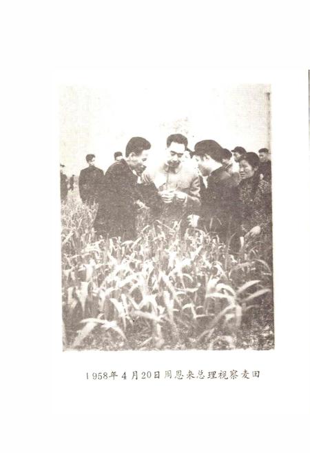 《关虎屯村志》.pdf电子版_河南省志插图3