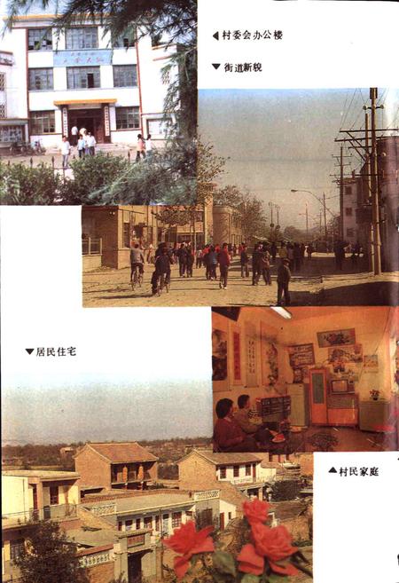 《陕县大营村志》.pdf电子版_河南省志插图5