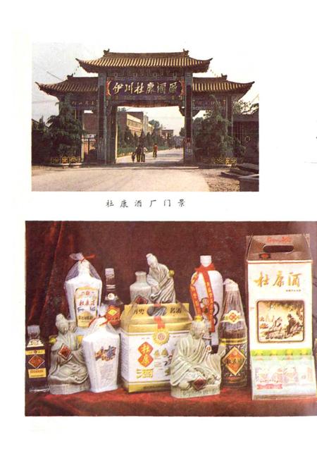 《中国杜康酒志》.pdf电子版_河南省志插图3