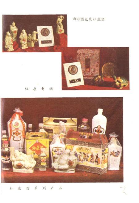 《中国杜康酒志》.pdf电子版_河南省志插图4