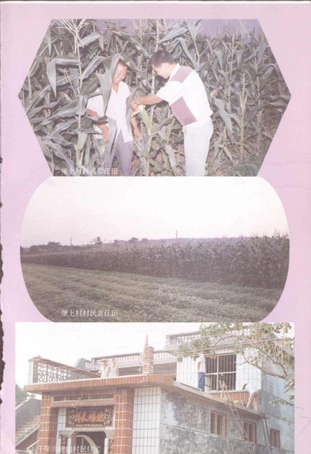 《堡上村志》.pdf电子版_河南省志插图5