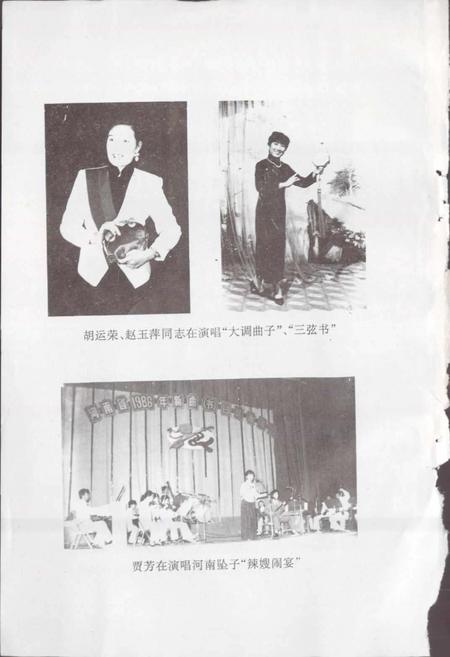 《平顶山市曲艺志》.pdf电子版_河南省志插图3