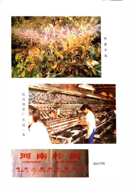 《方城县经贸志》.pdf电子版_河南省志插图5 《方城县经贸志》.pdf电子版_河南省志插图5