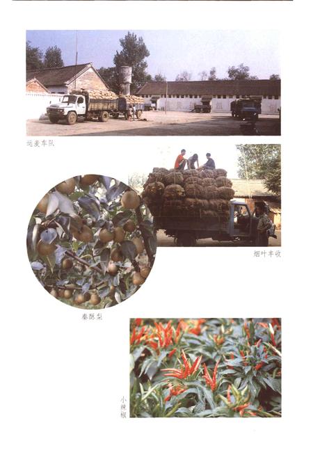 《源潭镇志》.pdf电子版_河南省志预览图4