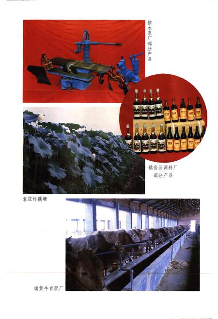 《源潭镇志》.pdf电子版_河南省志预览图5