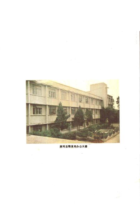 《唐河县粮食志》.pdf电子版_河南省志预览图5