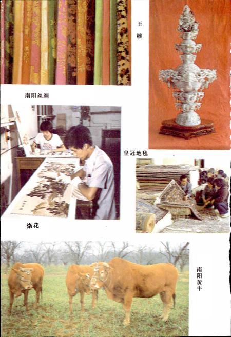 《南阳地区经贸志》.pdf电子版_河南省志插图5