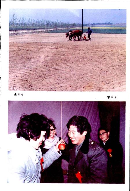 《方城民俗志》.pdf电子版_河南省志插图5