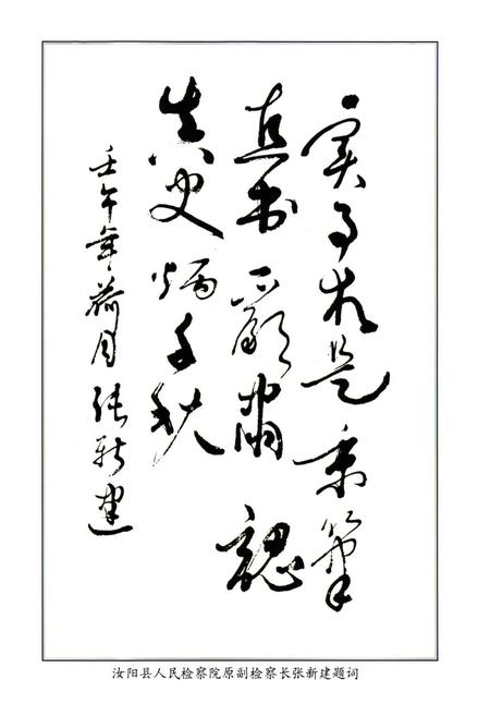 《汝阳检察志(1951-2001)》.pdf电子版_河南省志插图4