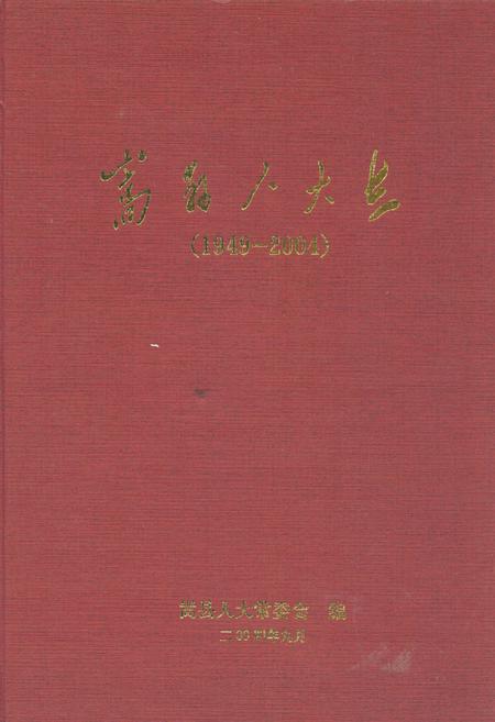 《嵩县人大志(1949-2004)》.pdf电子版_河南省志
