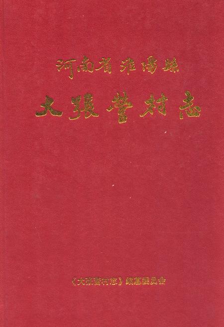 《河南省淮阳县大张营村志》.pdf电子版_河南省志缩略图