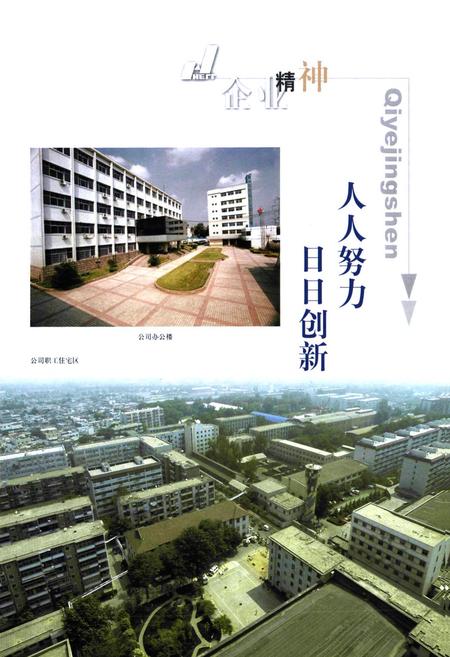 《河南送变电建设公司志(1958-2002)》.pdf电子版_河南省志插图3