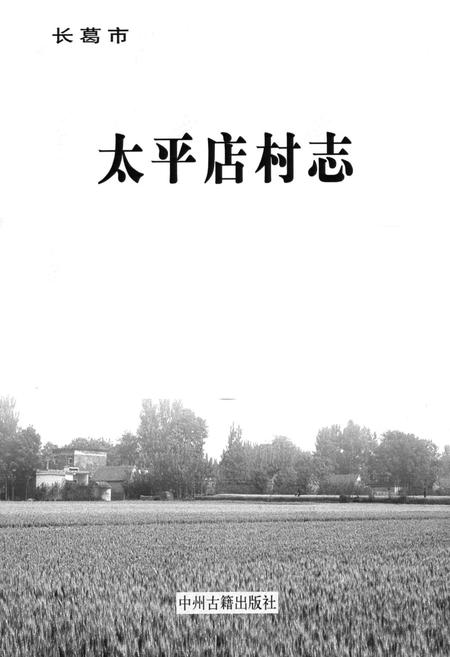 《太平店村志》.pdf电子版_河南省志插图1